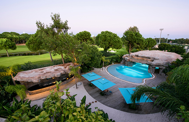 Regnumcarya Post43 Card