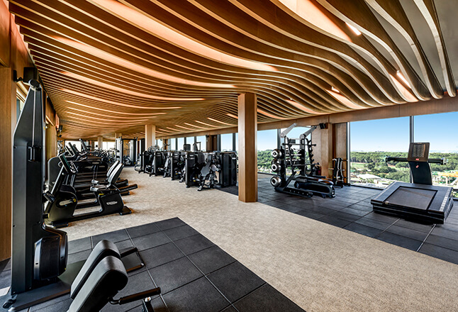 REGNUM THE CROWN TAURUS Fitness Club 11 Card