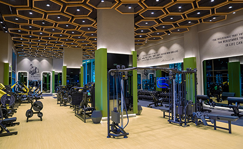 Regnumcarya Beehive Fitnesscenter 01(1) Card