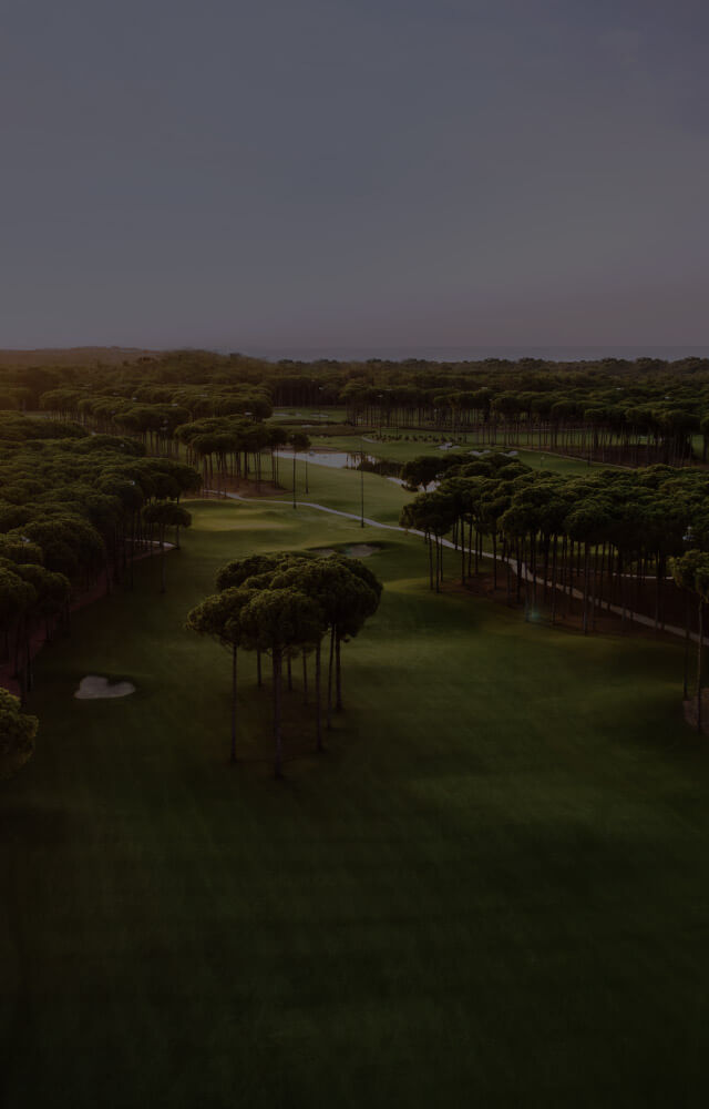 Regnum H Menu V1 (1)