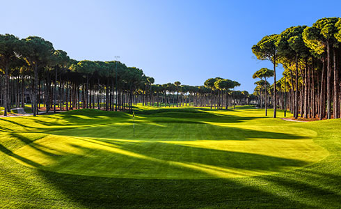 Regnumcarya Yesligolf Card